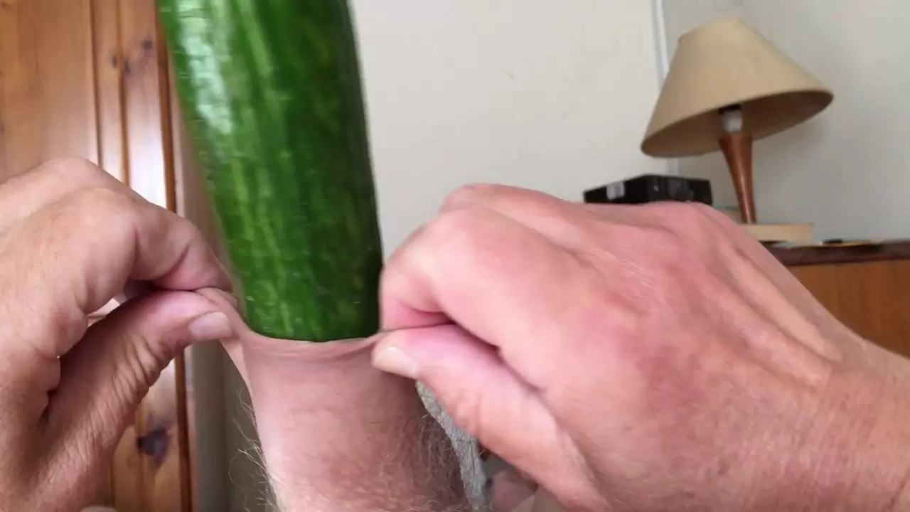 Foreskin cucumber Sunday pic
